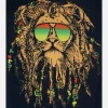 Cheap Brinkley Color Rasta Lion Square Blanket Towel For Two Lifestyle